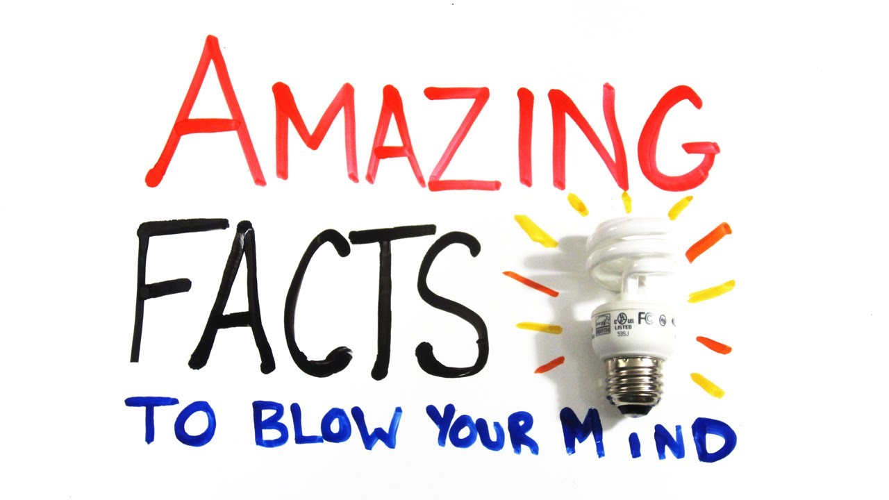 Extra facts. Interesting foto. Interesting facts. Facts картинки. Amazing facts.